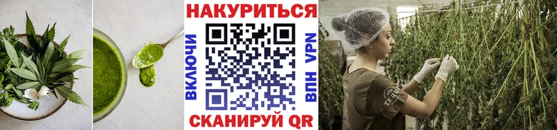 Canna-Cookies конопля  наркошоп  OMG ссылки  Ельня 