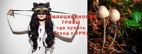 гидропоника Беломорск